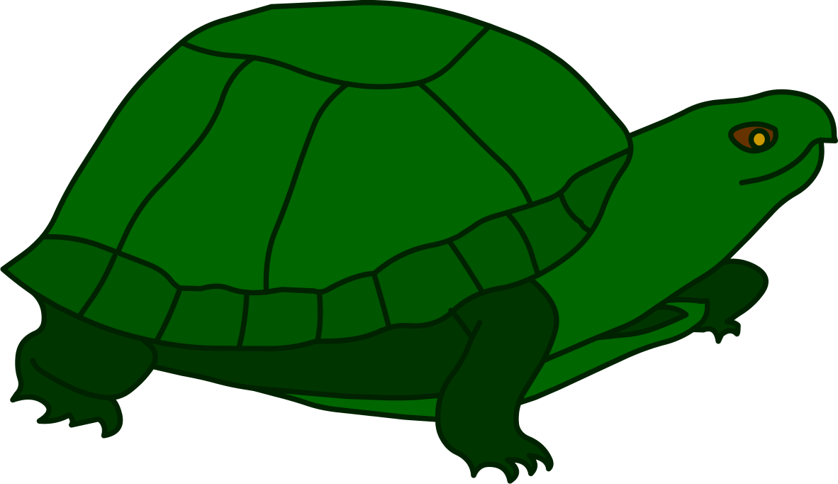 Turtle New Hands - Tortoise Clipart (1182x682), Png Download