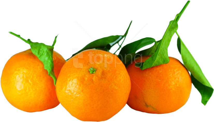 Free Png Tangerines With Leaves Png Images Transparent - Tangerines Png Clipart (850x486), Png Download