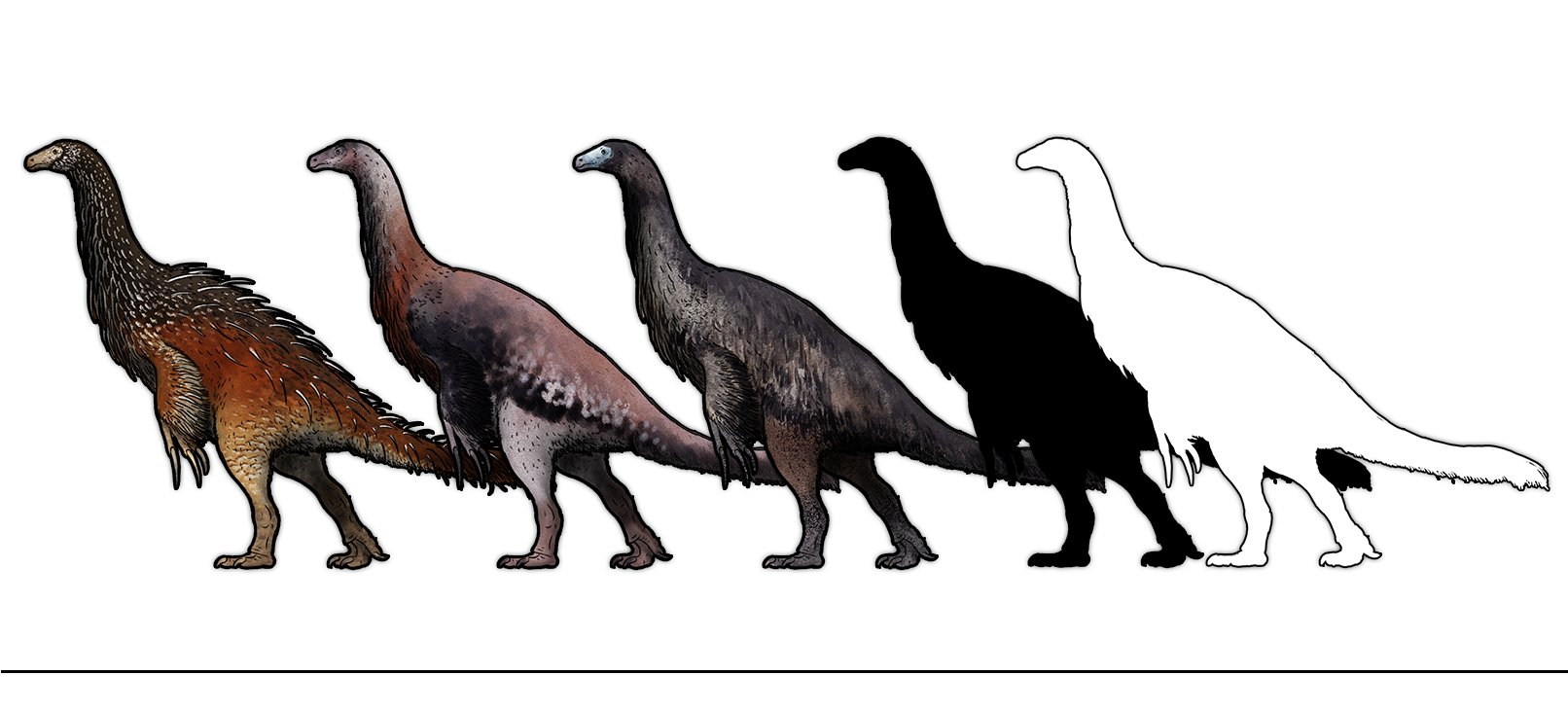 Some Animals, Such As Triceratops And Tyrannosaurus, - Woolly Animals Concept Art Clipart (1611x780), Png Download
