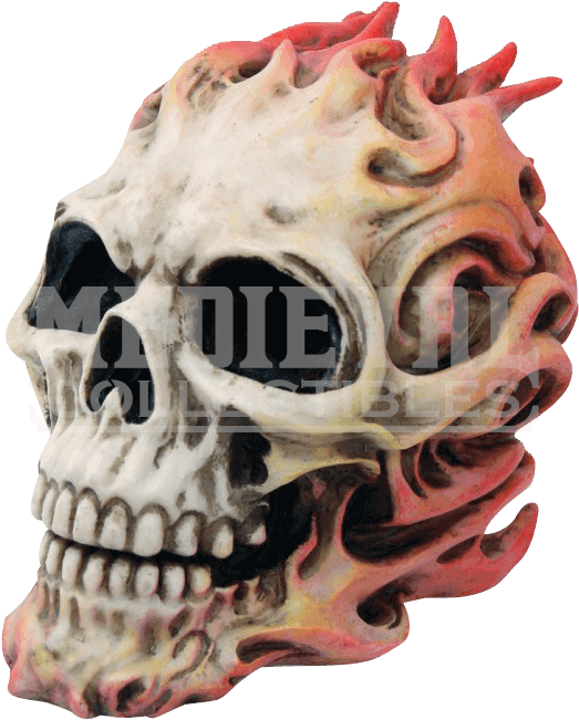 Skull Clipart (670x670), Png Download