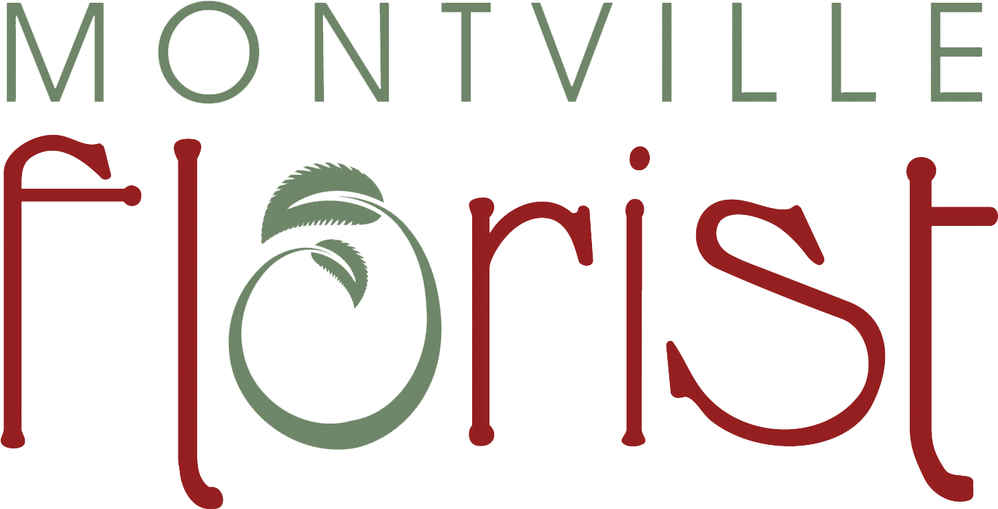 Graphic Design Clipart (1500x825), Png Download