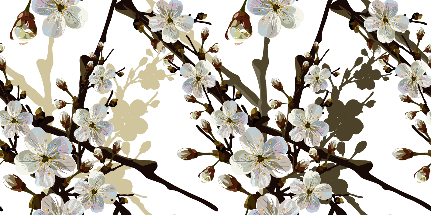 Png Клипарт "beautiful Flowers" - Hoa Mai Trắng Png Clipart (1418x709), Png Download