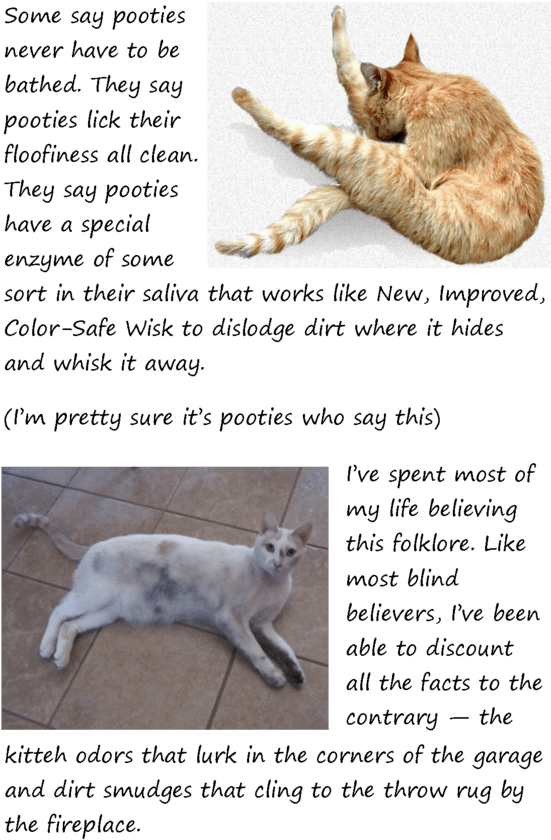 2 - Cat Grabs Treat Clipart (550x859), Png Download