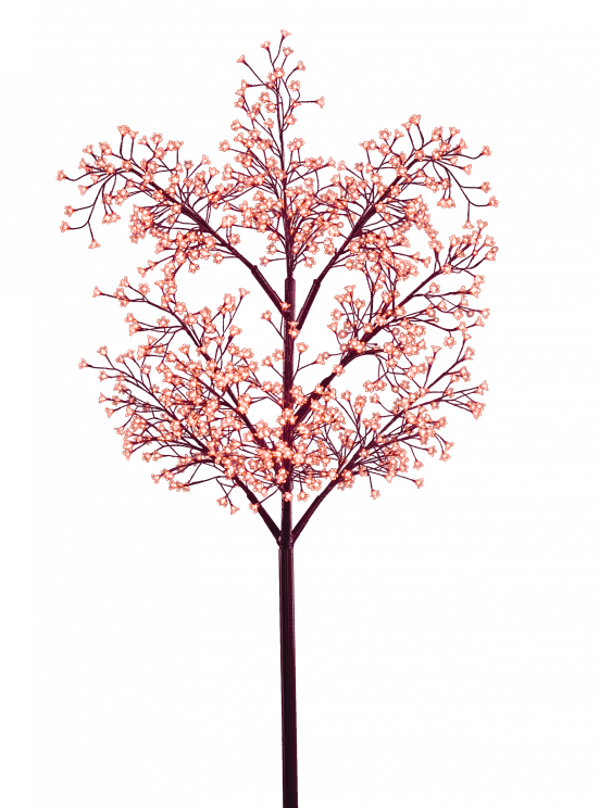 Floral Design Clipart (551x744), Png Download