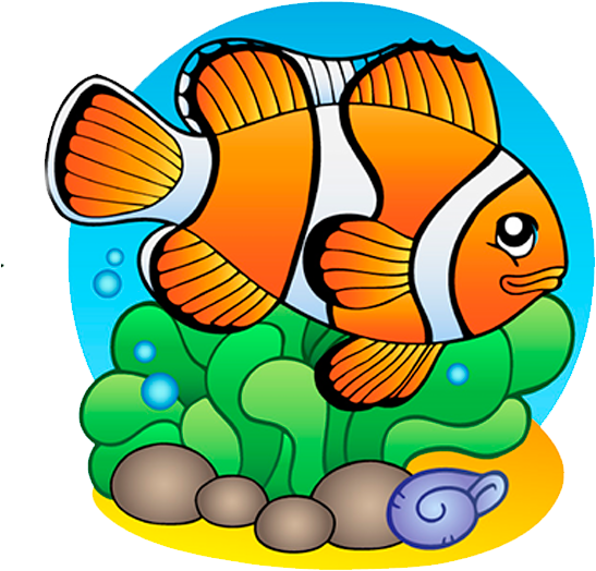 Pez Payaso - 海洋 生物 卡通 Clipart (600x600), Png Download