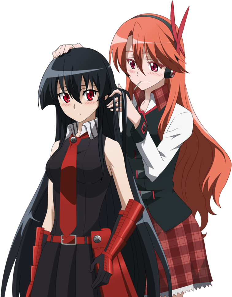 Chelsea Akame Ga Kill, Anime Girl Neko, Anime Girls, - Akame Ga Kill Png Clipart (820x974), Png Download