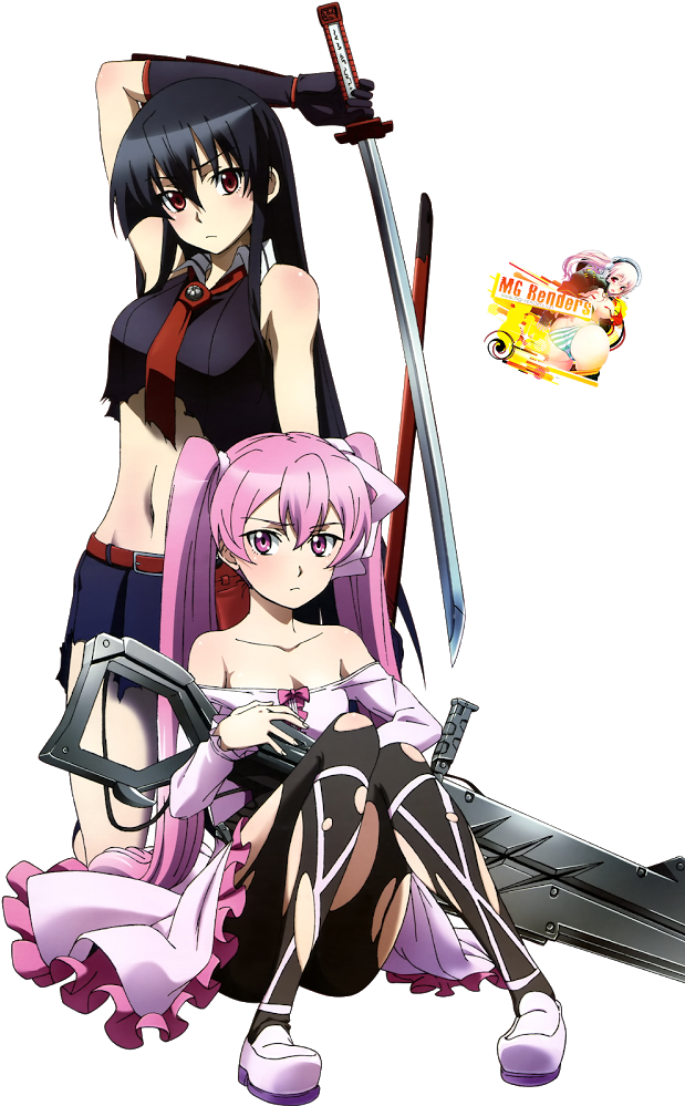Akame Ga Kill - Anime Clipart (628x1000), Png Download