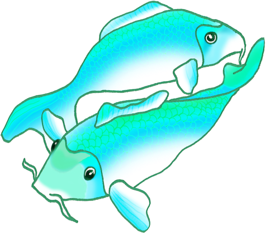 Clip Art - Png Download (886x854), Png Download