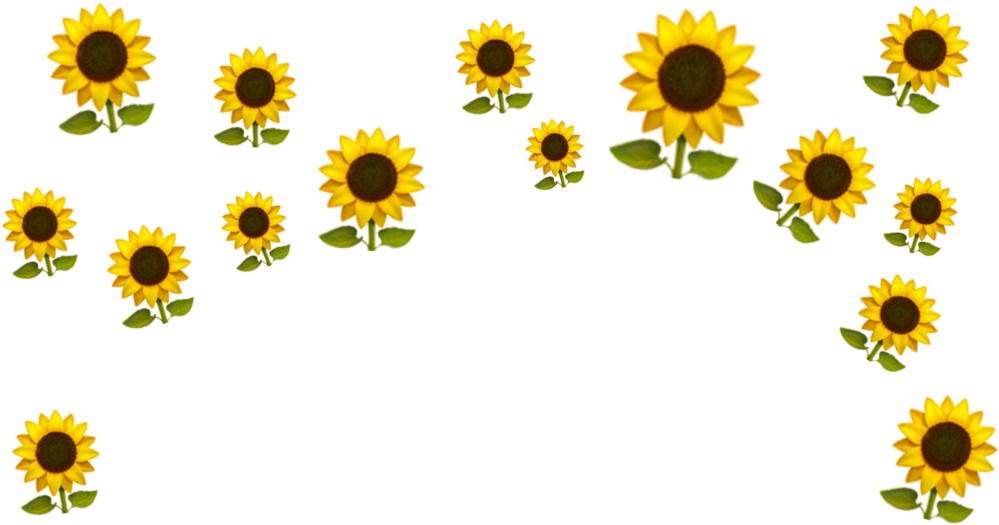 Flower Crown Emoji Png Best Flower Site