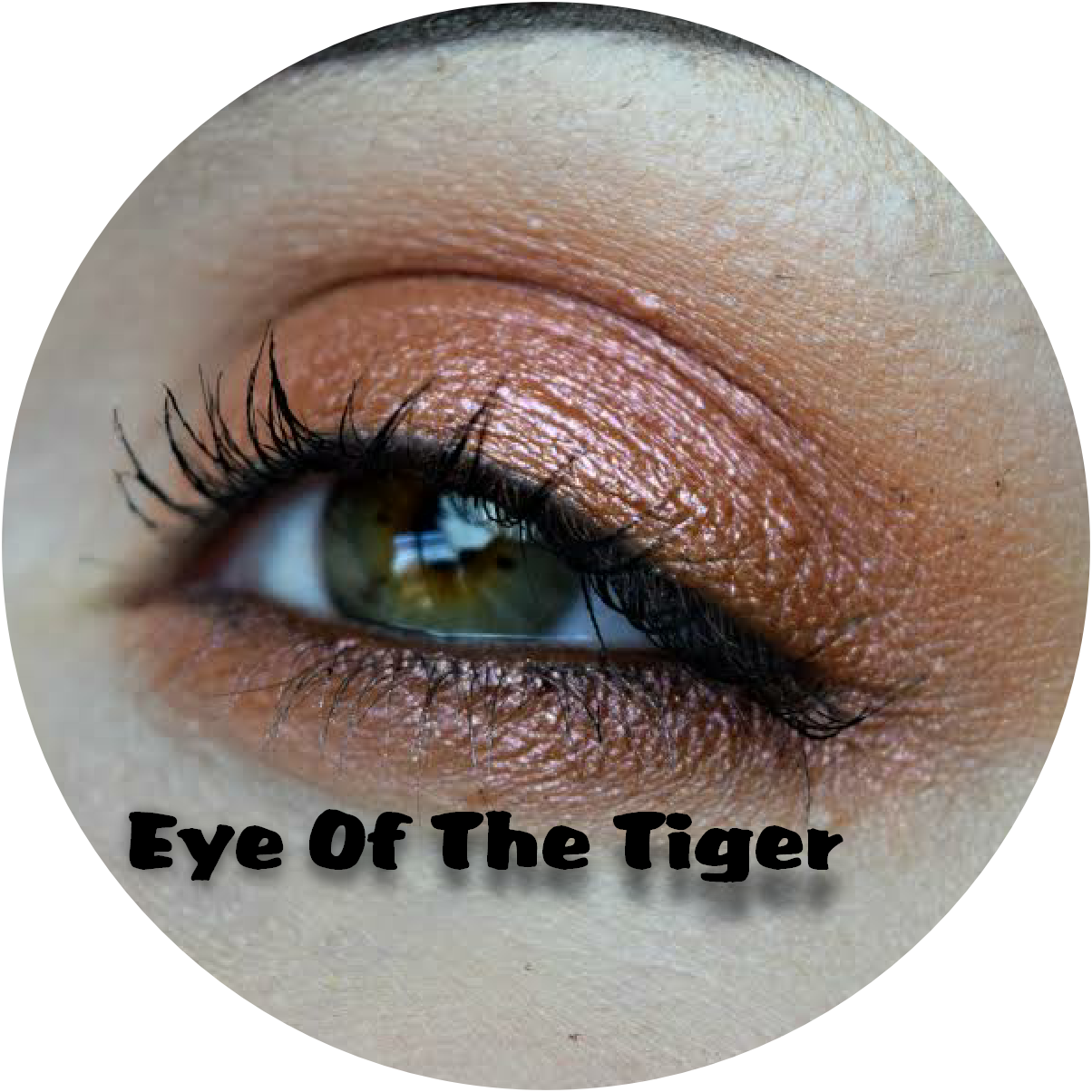 Download Transparent Png - Eye Shadow Clipart (1204x1204), Png Download