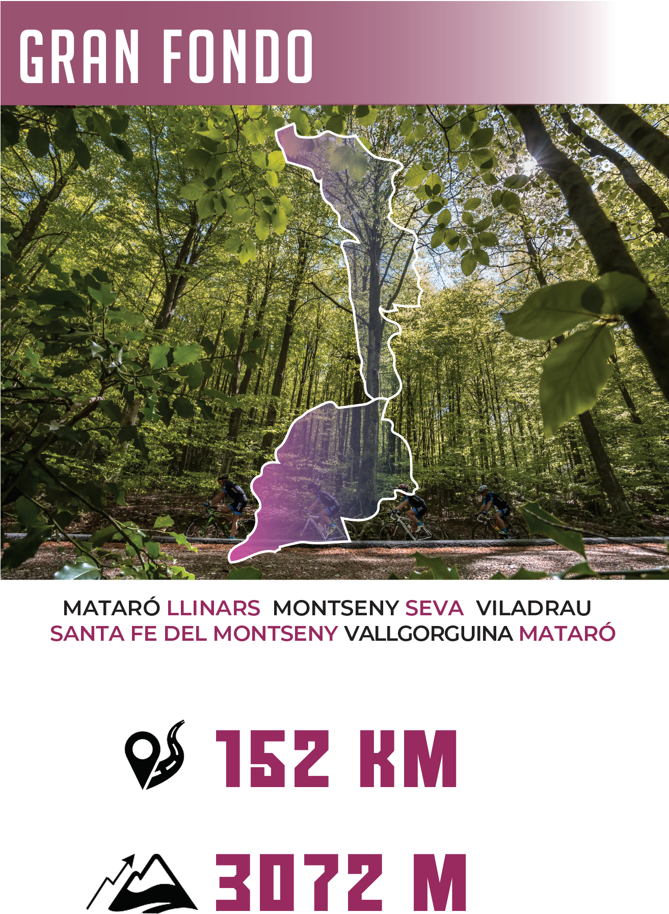 Carteles Curses Homegf - Rainforest Clipart (1313x1793), Png Download