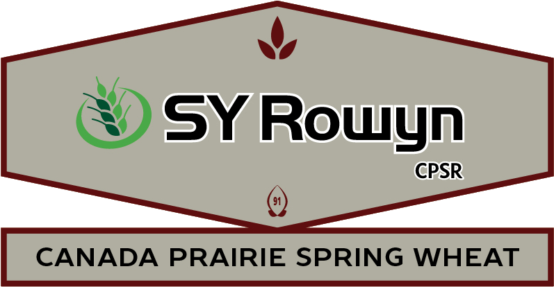 Logo - Sign Clipart (900x450), Png Download