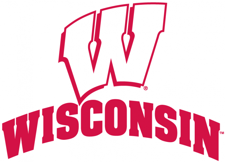 Wisconsin Badgers Iron On Stickers And Peel-off Decals - Graphic Design Clipart (750x930), Png Download