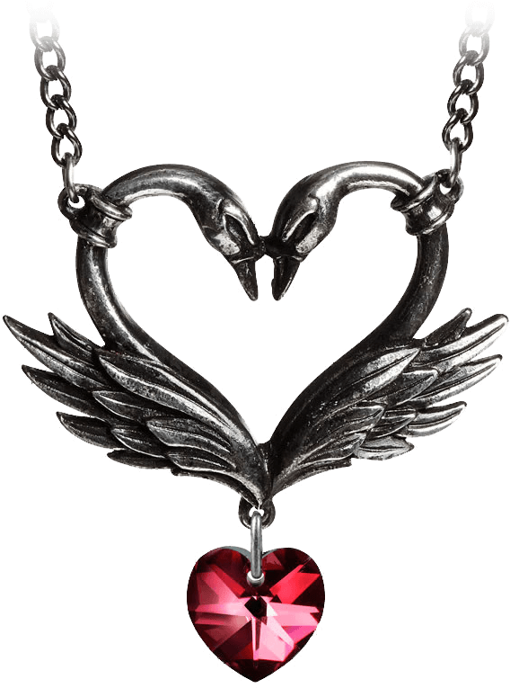 The Black Swan Romance - Collares Goticos Para Mujeres Clipart (567x786), Png Download