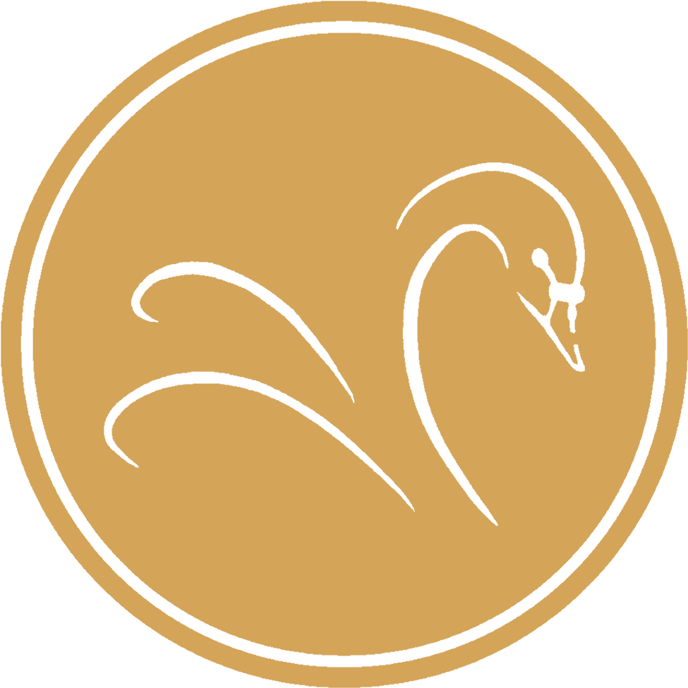 Circle Clipart (1024x1024), Png Download