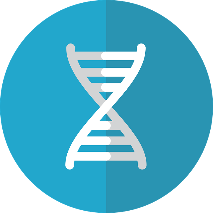 Gene Icon Genetics Icon Gene Genetics Dna - Genetic Engineering Png Clipart (721x720), Png Download