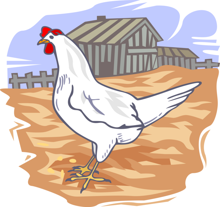 More In Same Style Group - Poultry Farm Clip Art - Png Download (744x700), Png Download