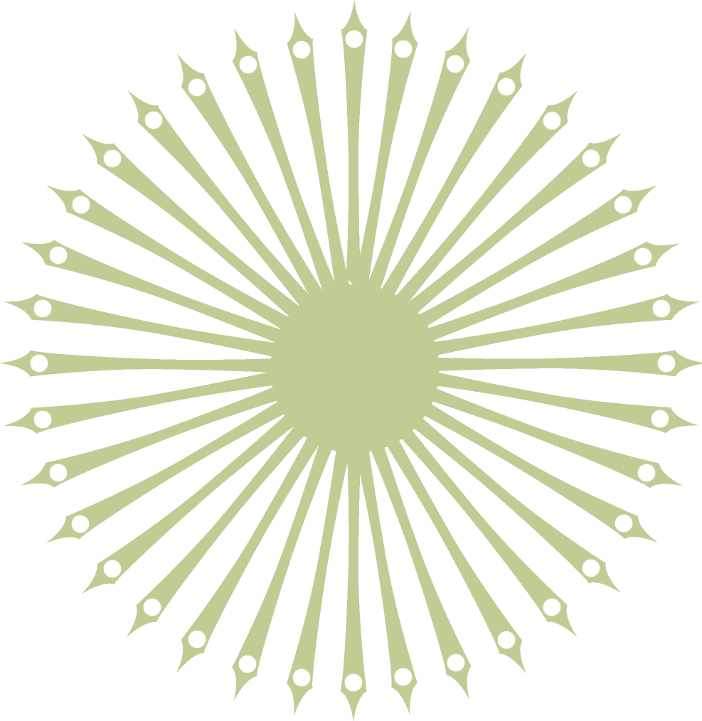 Mira Is A Bloomington Salon & Boutique Spa - Easy Optical Illusions Clipart (987x1014), Png Download