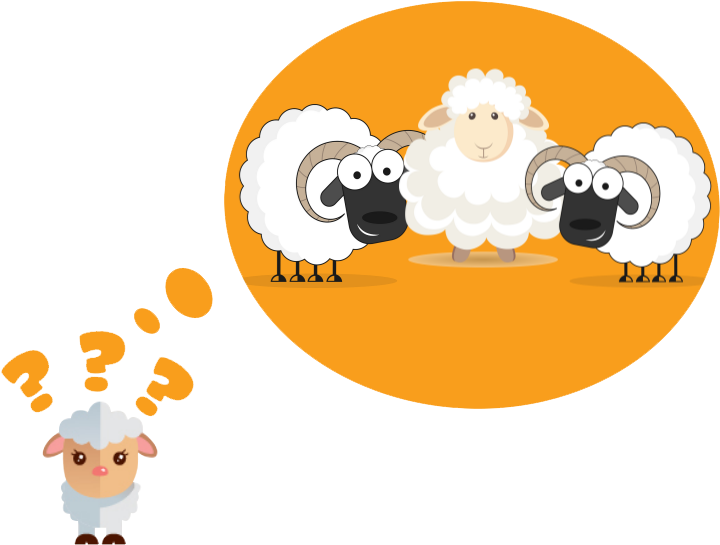 Drawing Sheep Dolly - Cartoon Clipart (800x590), Png Download