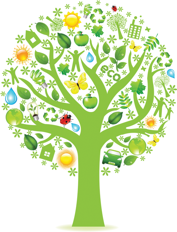 Tree Background Img - Creative Tree Clipart (1405x1024), Png Download