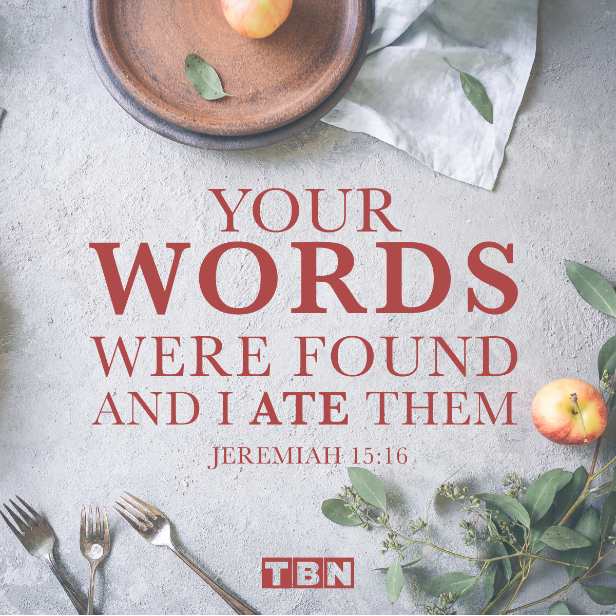 Tbnverified Account - Shirk Clipart (1200x1200), Png Download