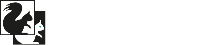 Unsere Partner - Silhouette Clipart (800x600), Png Download