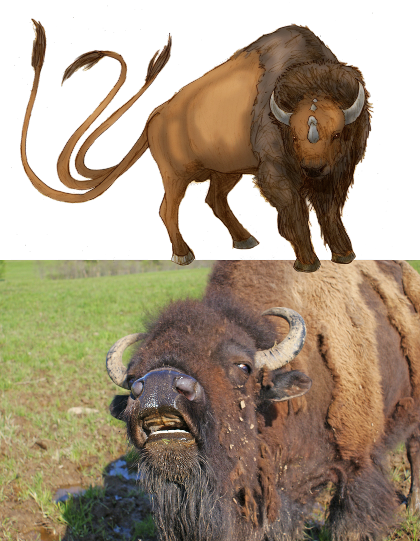 1080px Bison Tauros - Realistic Tauros Clipart (838x1080), Png Download