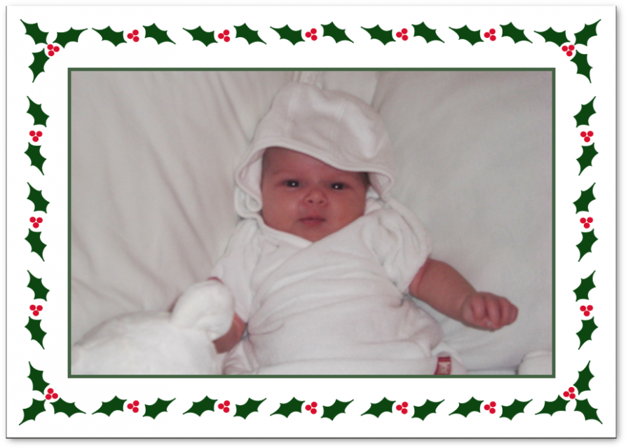Christmas Photo Cards "holly Frame" - Picture Frame Clipart (900x900), Png Download