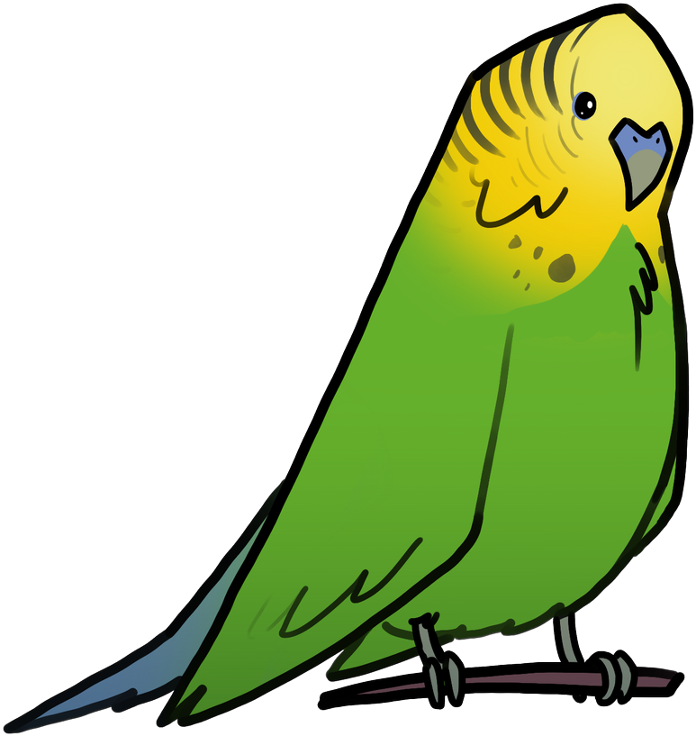 #dauntlessbirb Hashtag On Twitter - Budgie Clipart (1200x1200), Png Download