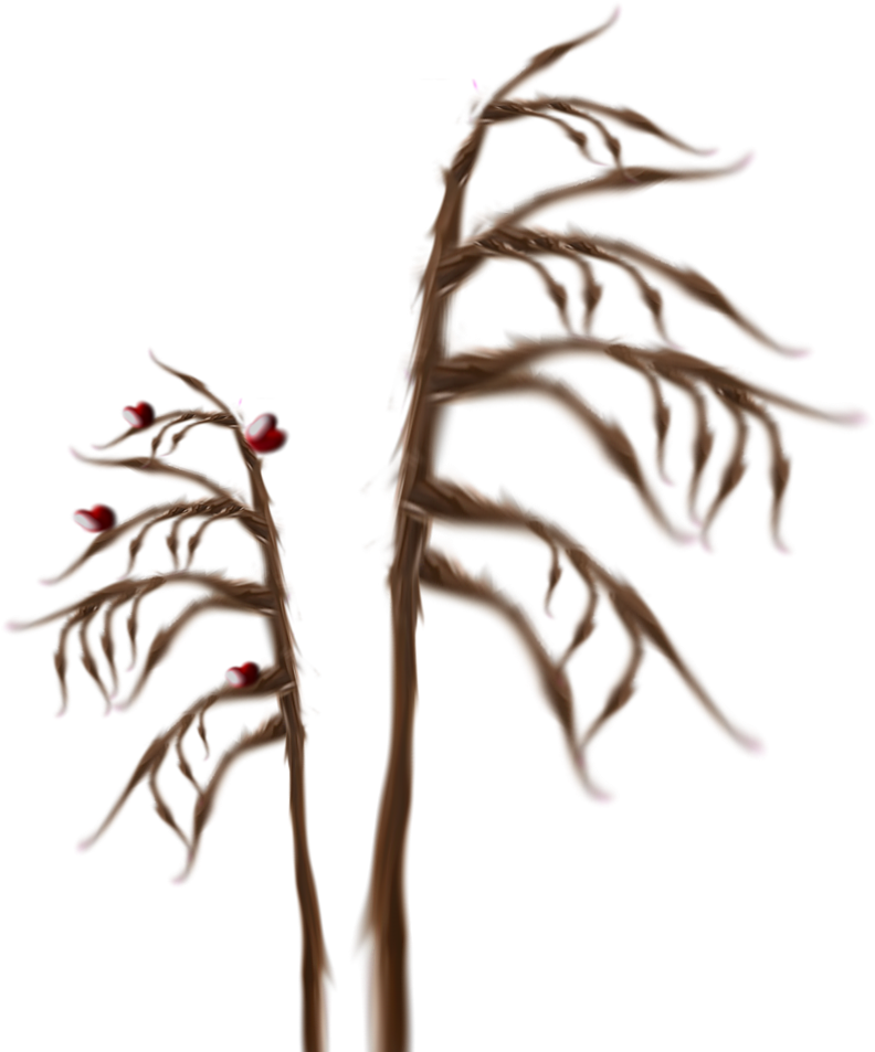 Grass B 1particles 6 - Twig Clipart (1024x1024), Png Download