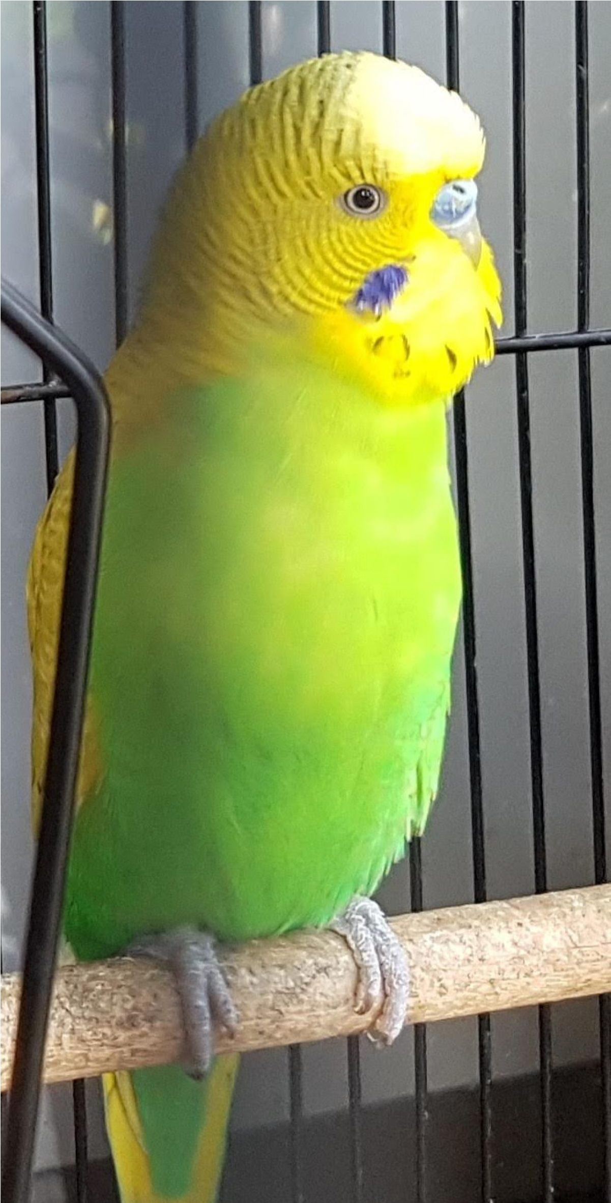 Sightings Clipart (2363x2363), Png Download