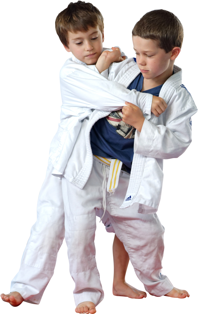 Image-judo - Brazilian Jiu-jitsu Clipart (804x1148), Png Download