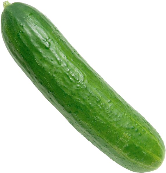 English - Vegetables Kakdi Png Clipart (600x600), Png Download