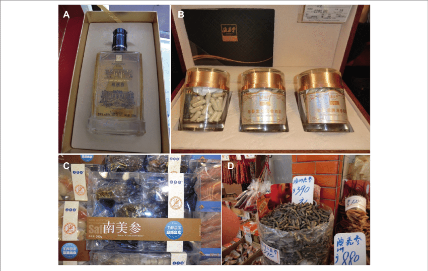 Holothurian Wine - Domaine De Canton Clipart (850x538), Png Download