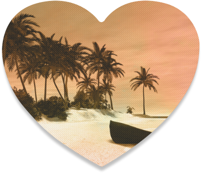 Attalea Speciosa Clipart (800x800), Png Download