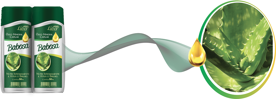 Arum Clipart (1200x472), Png Download