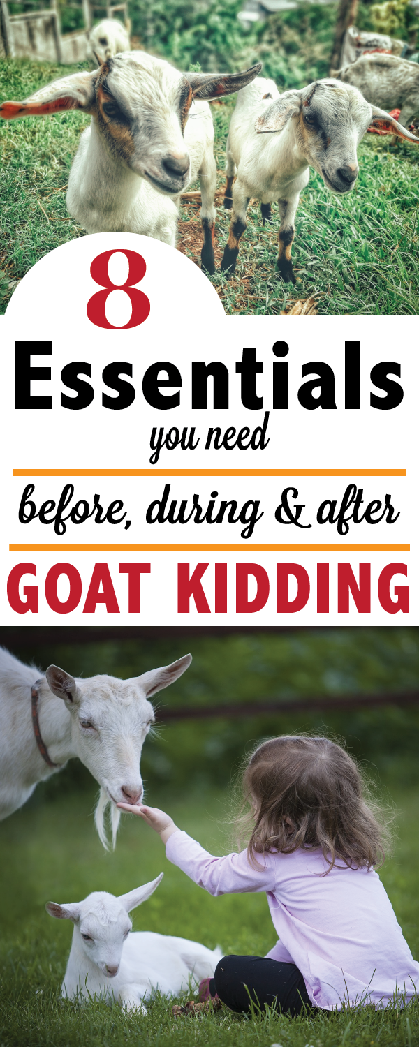 A List Of 8 Tips And Tricks To Make Your Next Goat - Tenderness Toward Existence Day Clipart (600x1500), Png Download