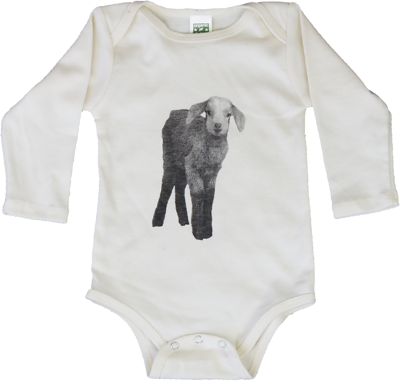 2 - " - Grizzly Bear Clipart (1500x1499), Png Download