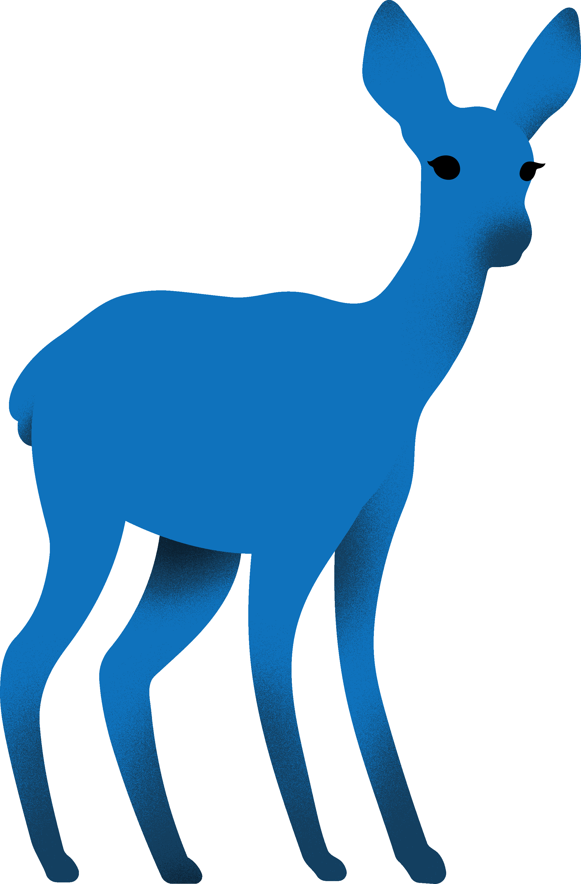 Clip Art - Png Download (2202x3346), Png Download