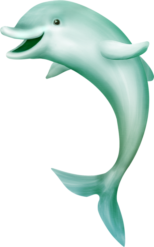 Maritime - Dolphin Fish Image Png Clipart (499x800), Png Download