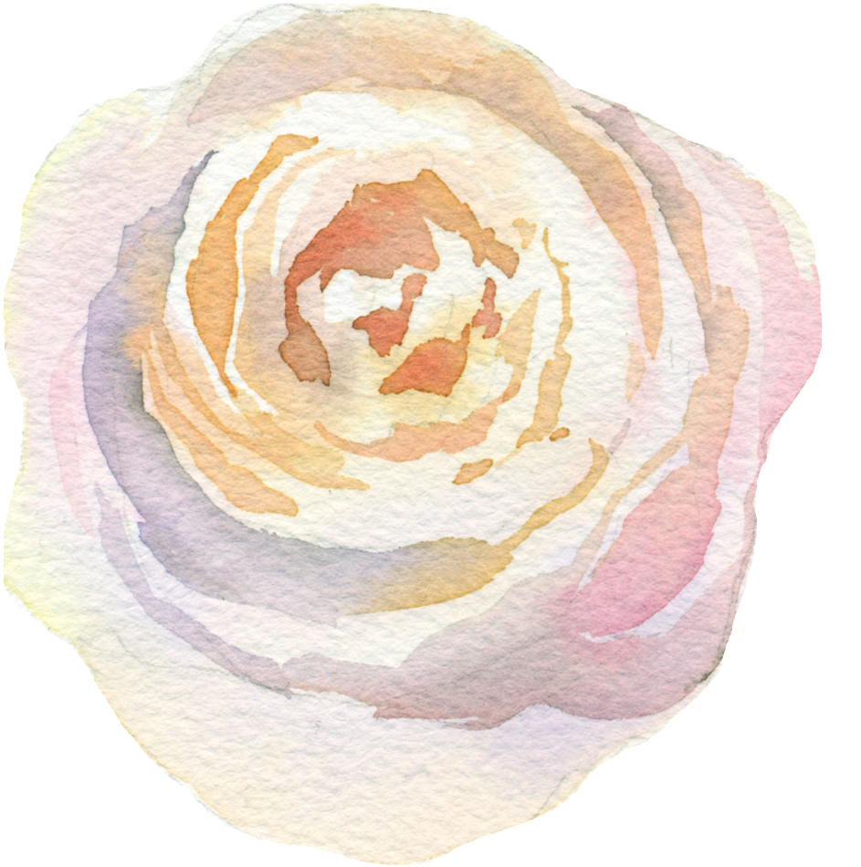 Capas De Flores Png Transparente - Garden Roses Clipart (1024x1024), Png Download