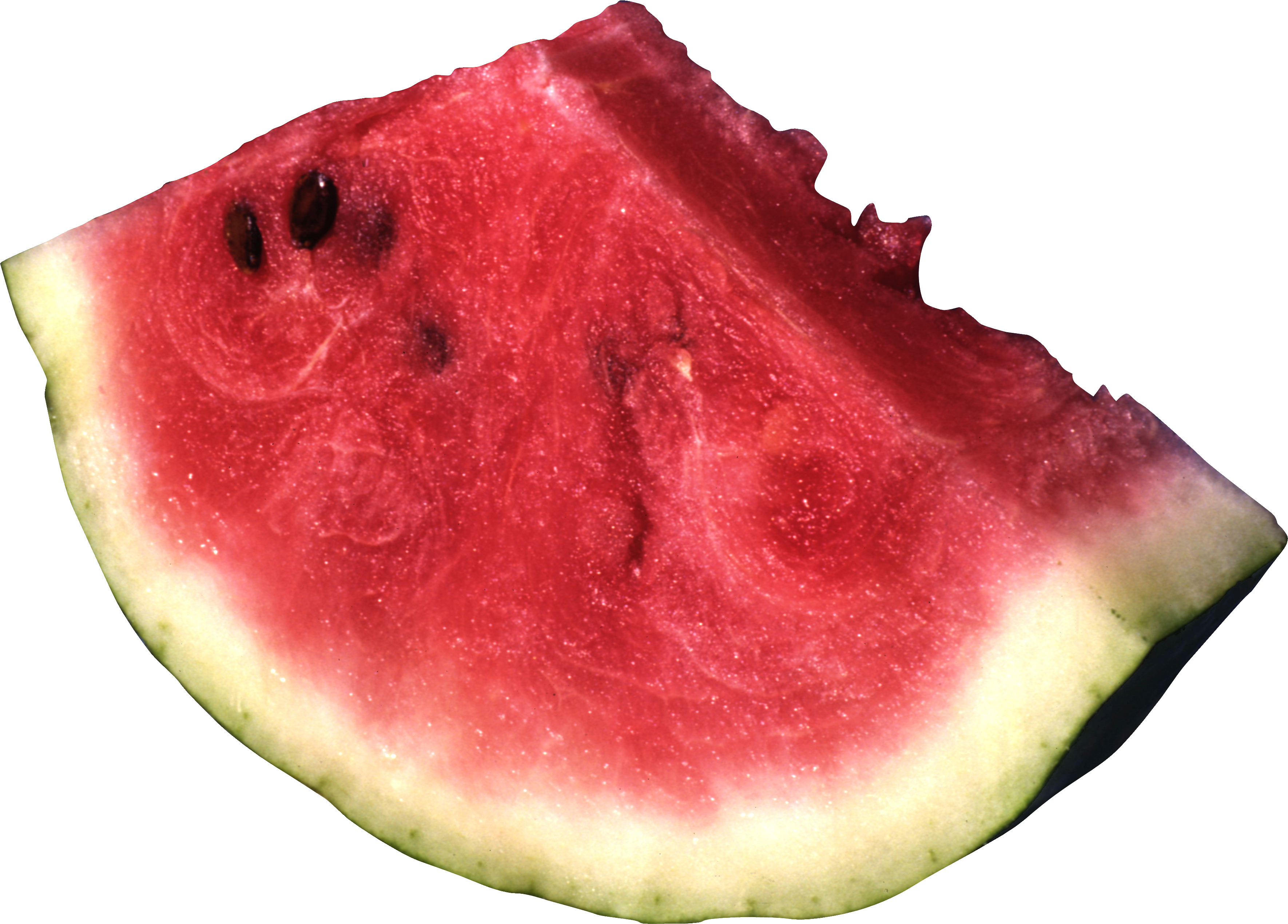 Watermelon - Transparent Watermelon Png Clipart (1770x1270), Png Download