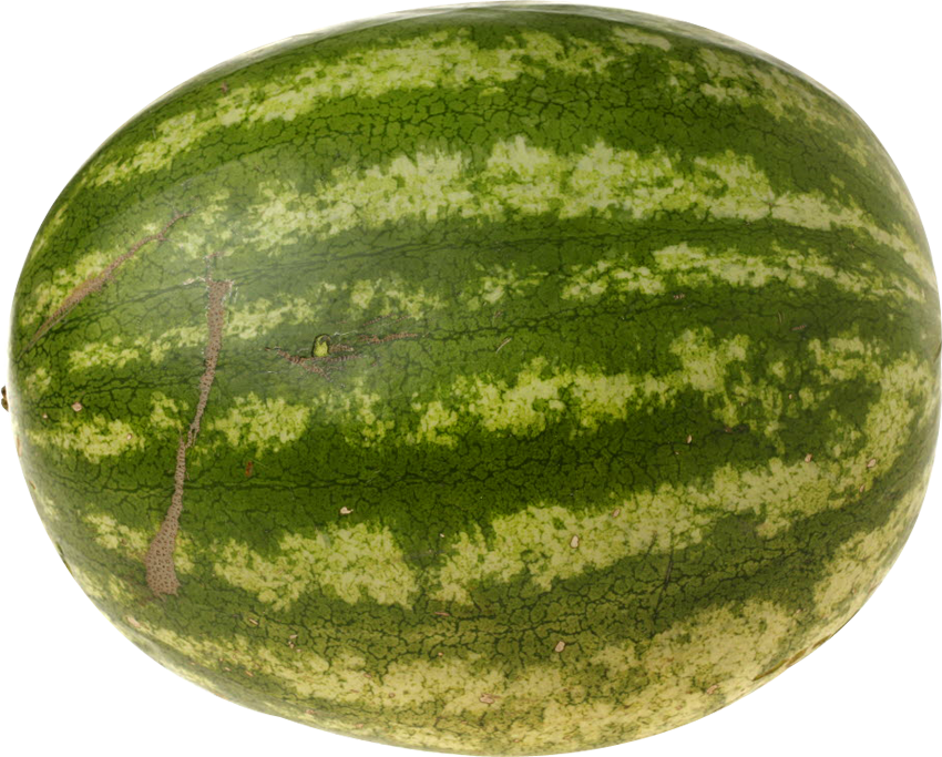 Watermelon Png Image - Up Niggy Wiggy Clipart (850x683), Png Download