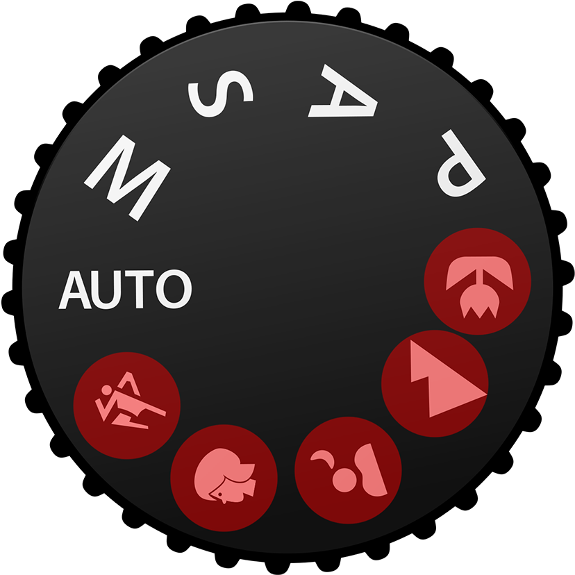 Camera Icon Modes - Landscape Mode On Camera Clipart (900x861), Png Download