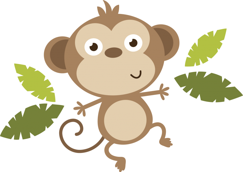 Monkey Png Image - Baby Monkey Png Clipart (800x567), Png Download