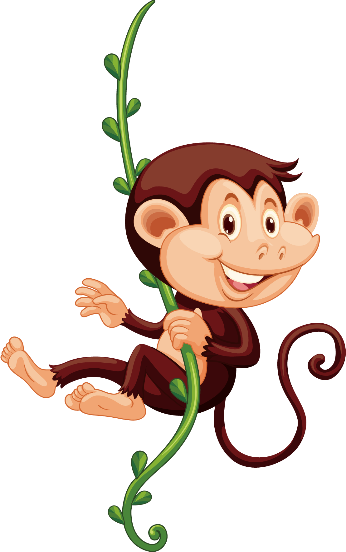 Monkey Png Images & Monkey Clipart - Monkey On A Vine Clipart Transparent (1600x1600), Png Download