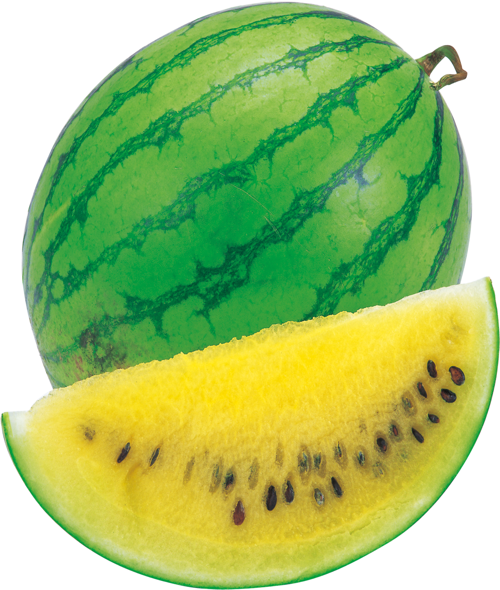 1509 X 1413 8 - Watermelon Yellow Clipart (1509x1413), Png Download