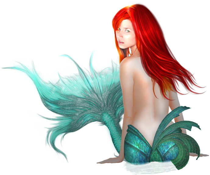 Mermaid Png Hd - Png Mermaid Art Clipart (894x894), Png Download