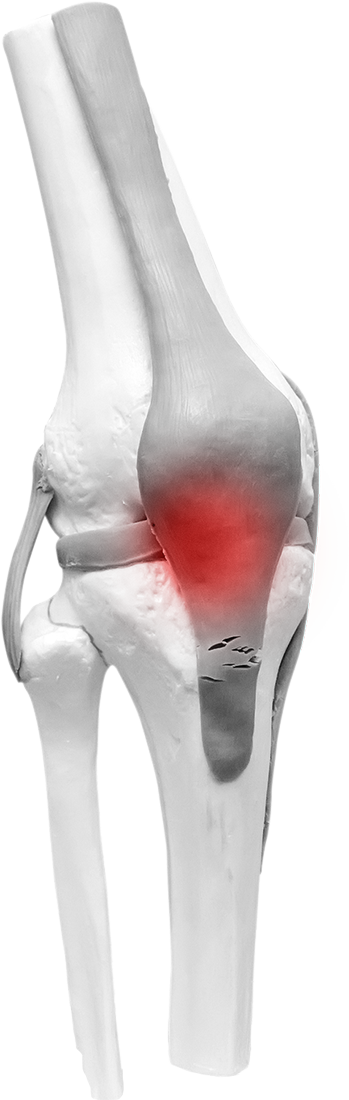 Mannequin Clipart (349x1100), Png Download