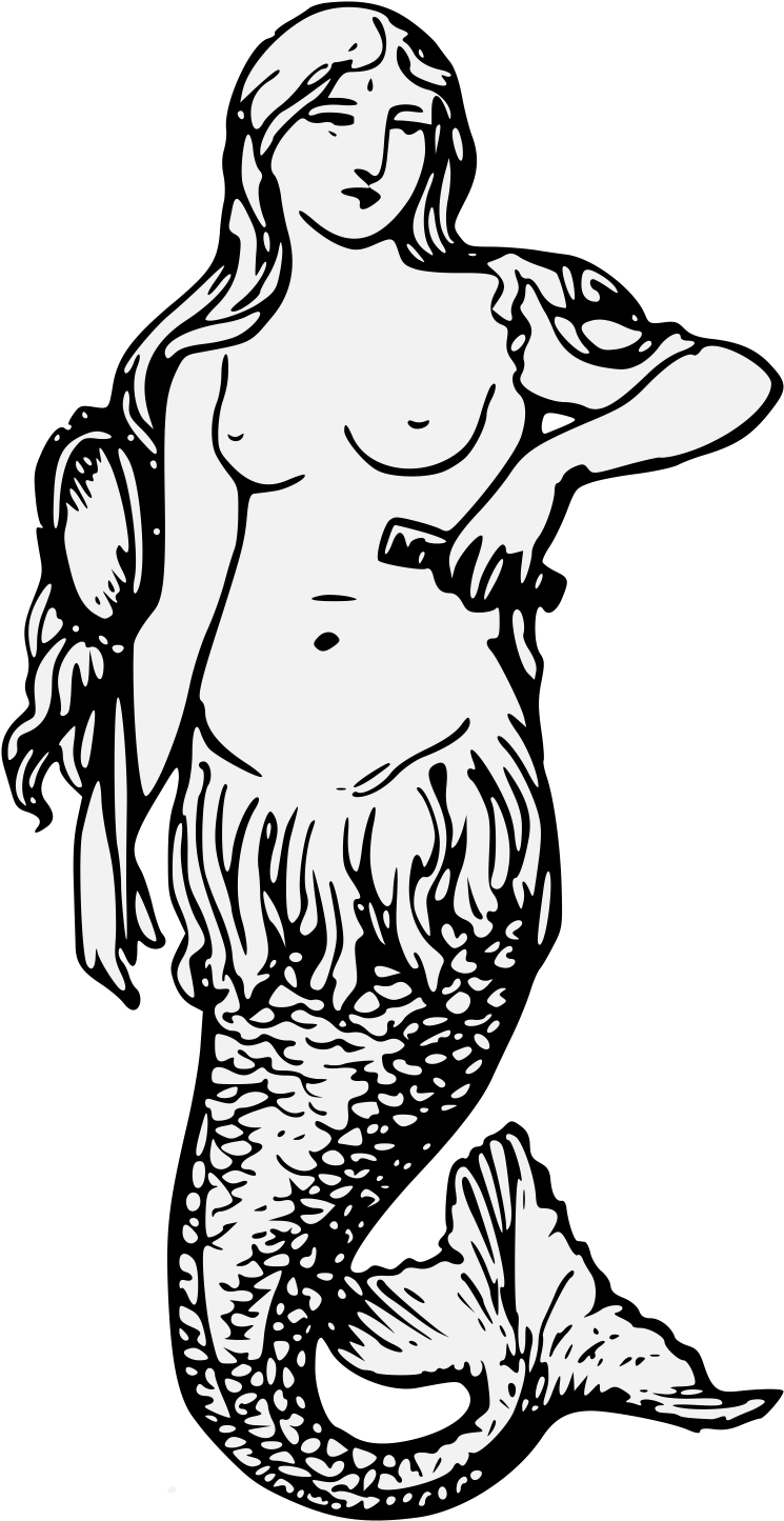 Details, Png - Mermaid Clipart (768x1470), Png Download